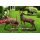 Garden Life Size Bronze Elk Statue For Sale